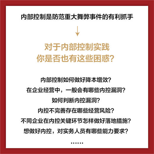 企业内部控制案例分析 全流程风险识别防范与应对思路 内控人员案头常备书籍 内控案例解读 内控流程拿来即用 商品图2