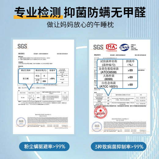 nittaya午睡枕 A-902-2 商品图2