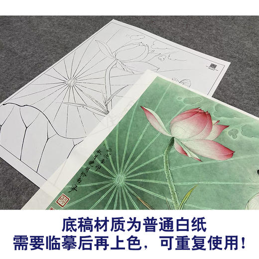 【大彩图】李晓明工笔画白描底稿《白蝶粉荷》荷花临摹勾线花鸟线稿K081 商品图3
