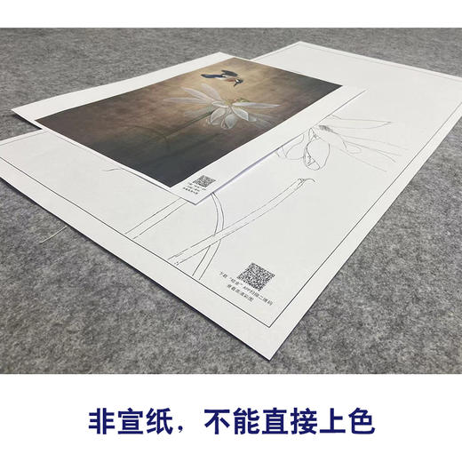 【大彩图】李晓明工笔画白描底稿《独舞晨风中》荷花临摹勾线花鸟线稿K080 商品图2