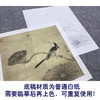 【大彩图】李晓明工笔画白描底稿斗方小品《临宋疏荷沙鸟图》临摹勾线花鸟线稿K067 商品缩略图3