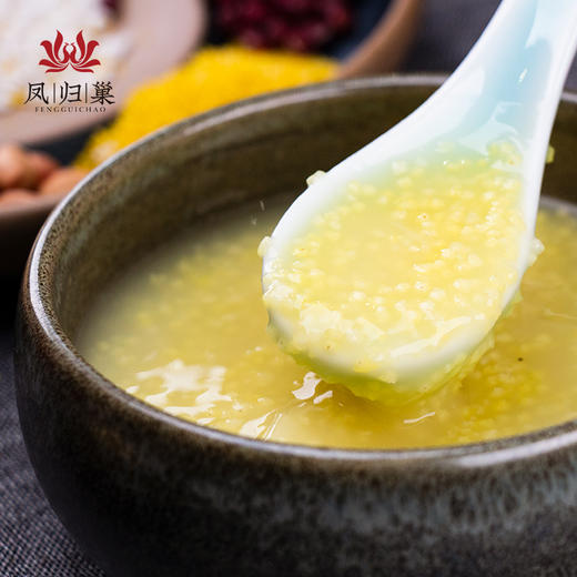 【温暖暖心粥】凤归巢 小米 500克真空袋装 有机种植谷子加工 商品图3