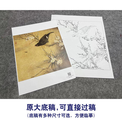 【大彩图】李晓明工笔画白描底稿斗方小品《白梅花鸲鹆》临摹勾线花鸟线稿K055 商品图1