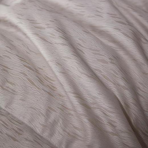 6F堂皇  奢.至暖匈牙利进口95白鹅绒冬被 商品图1