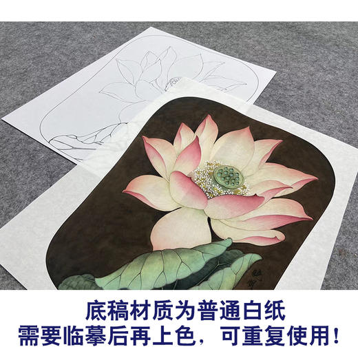 【大彩图】李晓明工笔画白描底稿宫扇《泽艳红芝花》荷花临摹勾线花鸟线稿K077 商品图3