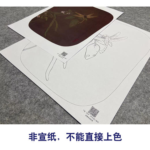 【大彩图】工笔画白描底稿宫扇小品《临宋豆花蜻蜓图》临摹勾线花鸟线稿K056 商品图2