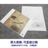 【大彩图】李晓明工笔画白描底稿斗方小品《临宋疏荷沙鸟图》临摹勾线花鸟线稿K067 商品缩略图1