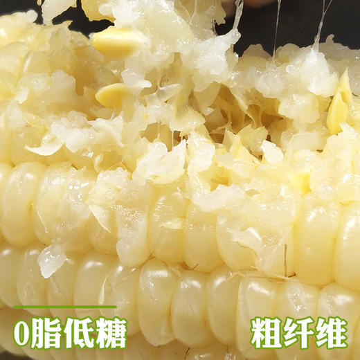东北白糯玉米/黄糯玉米/黑糯玉米，真空锁鲜，颗粒饱满，香黏软糯，老少皆宜，特别适合身材管理期人群，全国包邮 商品图7