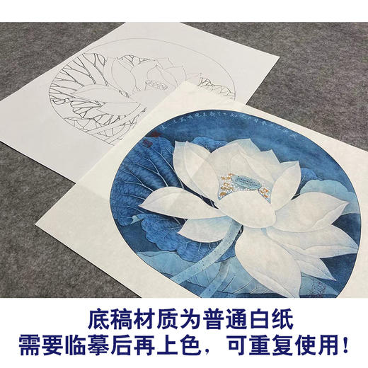 【大彩图】李晓明工笔画白描底稿小品《出水芙蓉》荷花临摹勾线花鸟线稿K078 商品图3