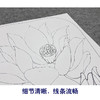 【大彩图】李晓明工笔画白描底稿宫扇《泽艳红芝花》荷花临摹勾线花鸟线稿K077 商品缩略图4