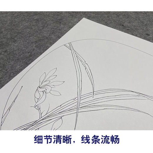 【大彩图】工笔画白描底稿小品《临宋秋兰绽蕊图》兰花临摹勾线花鸟线稿K065 商品图4