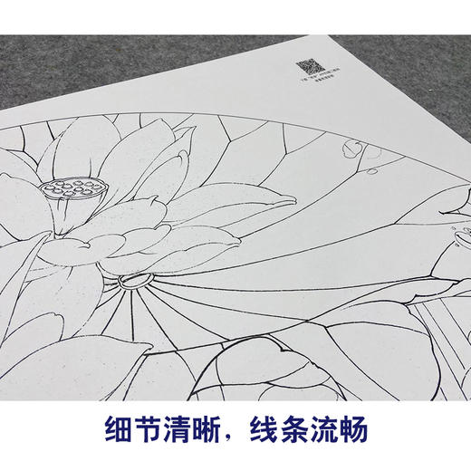 【大彩图】李晓明工笔画白描底稿扇面小品《十里荷香》荷花临摹勾线花鸟线稿K076 商品图4