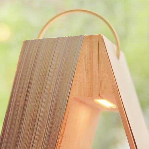 送小王子模型（随机四选一）    十点读书 《向光而行2024听书日历》 商品图4