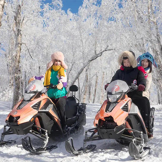 【东北·哈尔滨】6天5晚·冰雪盛宴 2人成团（房车/SUV越野车 | 梦幻雪乡+长白山天池+雾凇岛+雪地越野+滑雪+冰火温泉） 商品图1