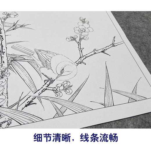 【大彩图】李晓明工笔画白描底稿小品《梅竹双雀图》临摹勾线花鸟线稿K063 商品图4