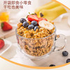 三特混合水果干干吃燕麦片350g 商品缩略图3