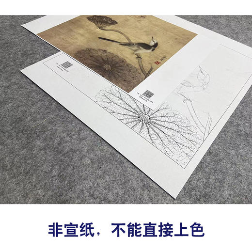 【大彩图】李晓明工笔画白描底稿斗方小品《临宋疏荷沙鸟图》临摹勾线花鸟线稿K067 商品图2