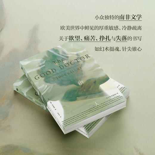 《多余人》（2021年布克奖得主达蒙·加尔格特代表作。） 商品图2