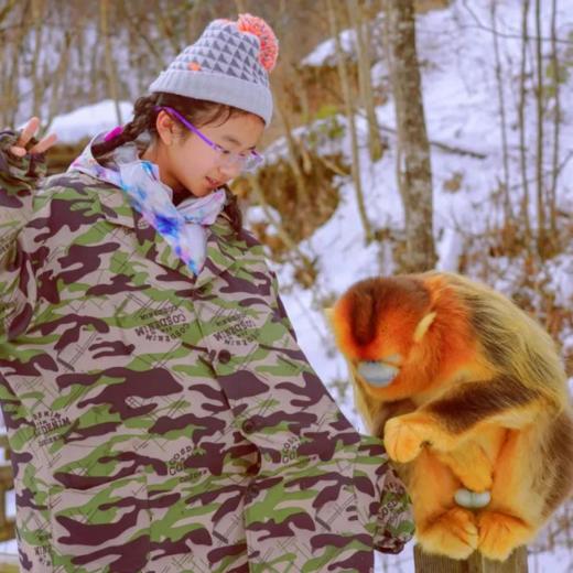【神农架】冰雪亲子营！北纬30° 探访“原住民”野生金丝猴， 2大雪场玩转单双板！ 商品图0