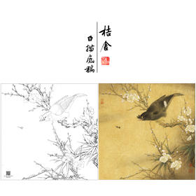 【大彩图】李晓明工笔画白描底稿斗方小品《白梅花鸲鹆》临摹勾线花鸟线稿K055