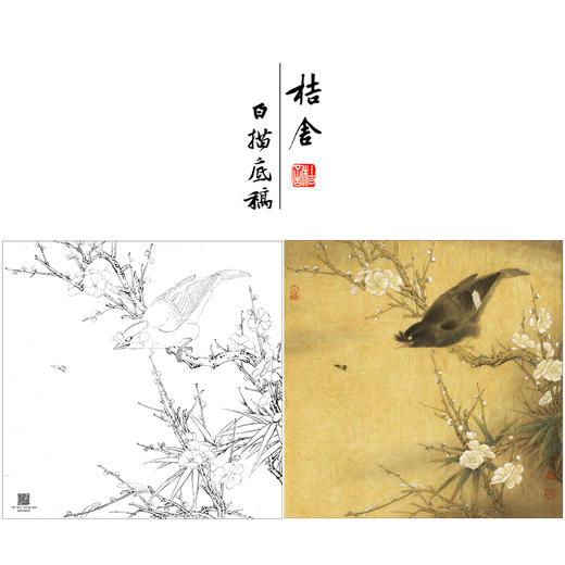 【大彩图】李晓明工笔画白描底稿斗方小品《白梅花鸲鹆》临摹勾线花鸟线稿K055 商品图0