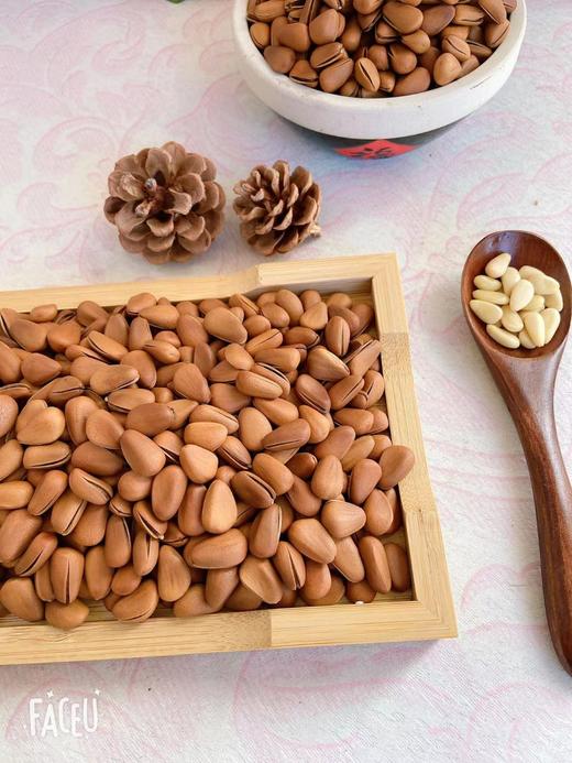 东北松子特大颗粒手剥开口松子仁坚果炒货干果休闲零食 商品图1