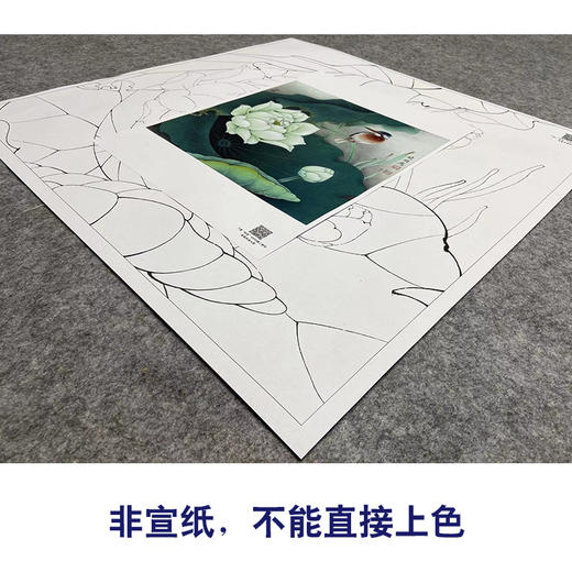 【大彩图】李晓明工笔画白描底稿斗方小品《白荷栖翠》荷花临摹勾线花鸟线稿K082 商品图2