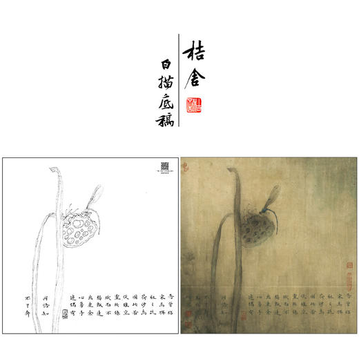 【大彩图】李晓明工笔画白描底稿小品《豆娘残荷》荷花临摹勾线花鸟线稿K079 商品图0