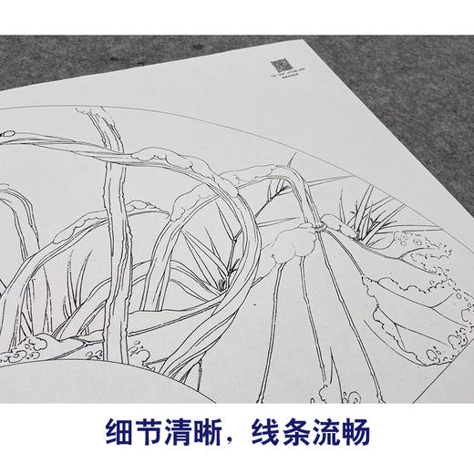 【大彩图】李晓明工笔画白描底稿扇面小品《荷花》临摹勾线花鸟线稿K075 商品图4