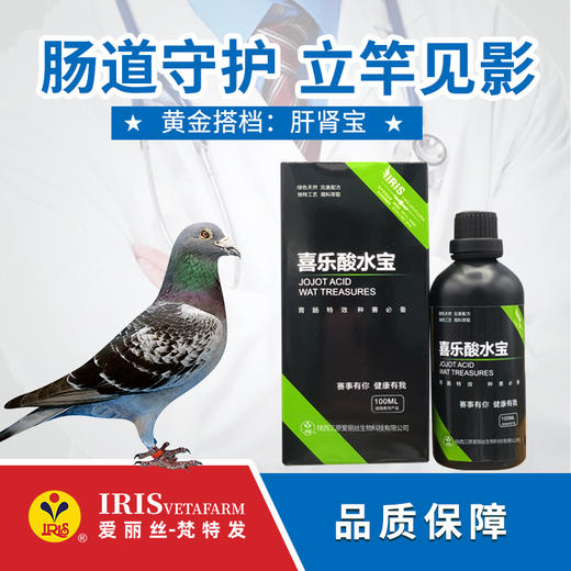 【爱丽丝】喜乐酸水宝100ml/250ml/500ml 商品图0