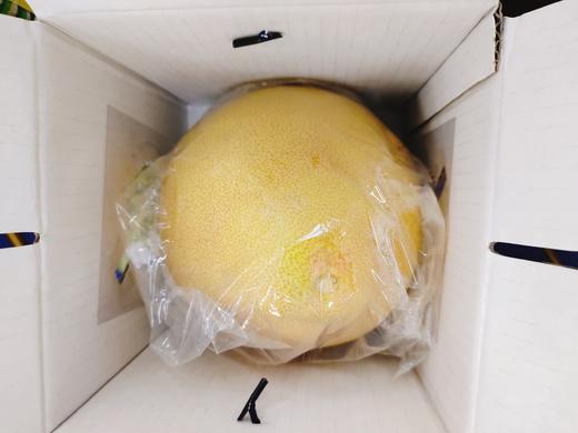 猫山王柚子一个 商品图2