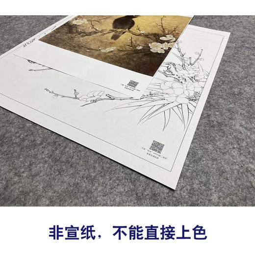 【大彩图】李晓明工笔画白描底稿斗方小品《梅花八哥》临摹勾线花鸟线稿K062 商品图2