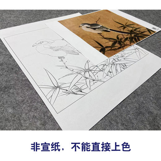 【大彩图】李晓明工笔画白描底稿小品《临宋竹鸠图》临摹勾线花鸟线稿K060 商品图2