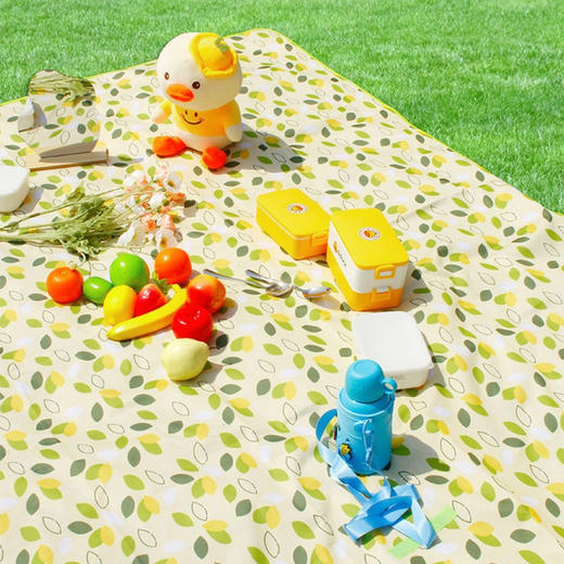 【积分新品】陆续发货-驿客防水野餐垫（小飞叶） 商品图3