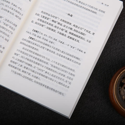 谦德国学文库 宋词三百首（新版） 商品图3