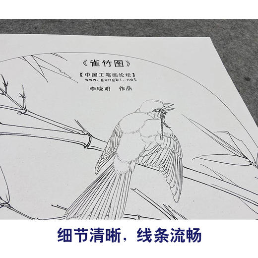 【大彩图】李晓明工笔画白描底稿小品《雀竹图》雀鸟临摹勾线花鸟线稿K066 商品图4