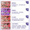 miniface小排灯 商品缩略图4