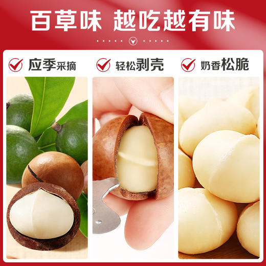 罐装夏威夷果500g（奶油味）奶香馥郁饱满香脆坚果 商品图4