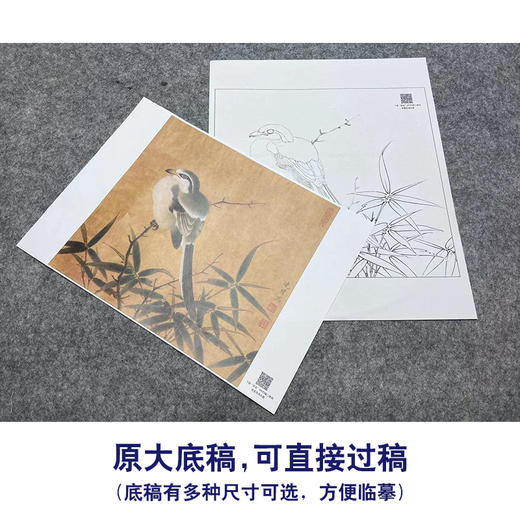 【大彩图】李晓明工笔画白描底稿小品《临宋竹鸠图》临摹勾线花鸟线稿K060 商品图1