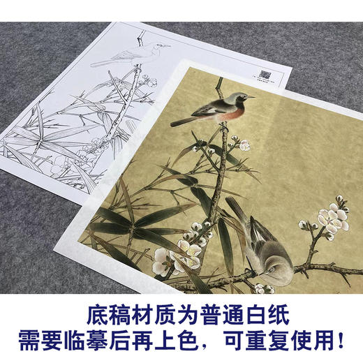 【大彩图】李晓明工笔画白描底稿小品《梅竹双雀图》临摹勾线花鸟线稿K063 商品图3