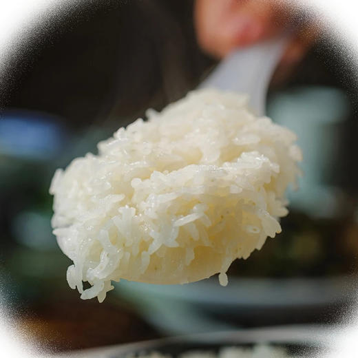 【新疆沙漠富硒大米寿司米】 天山雪水灌溉 190天生长期  80%的胚芽保留率 商品图1