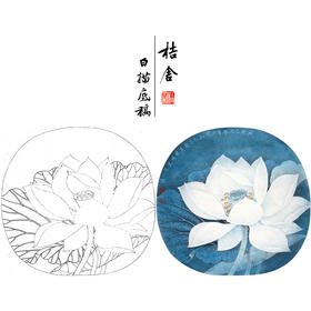 【大彩图】李晓明工笔画白描底稿小品《出水芙蓉》荷花临摹勾线花鸟线稿K078