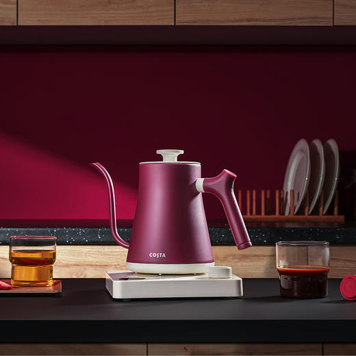 COSTA电热水壶（咖啡茶饮手冲壶) 1.0L  CT-03F01 商品图0