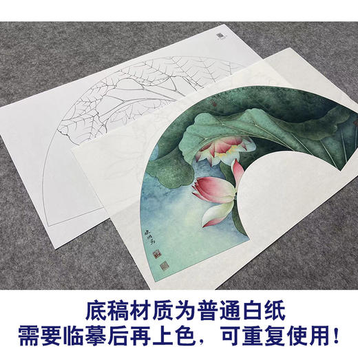 【大彩图】李晓明工笔画白描底稿扇面小品《荷花》临摹勾线花鸟线稿K073 商品图3