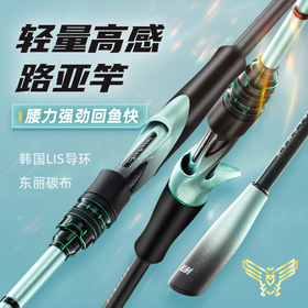 佳钓尼路亚竿套装鹞路亚竿正品远投鲈鱼翘嘴