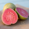 奶油冰淇淋香软芭乐 白心红心番石榴 净重5斤 京东快递 商品缩略图2