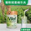 维乐夫菊粉 菊苣根提取益生元 水溶性膳食纤维  300g/桶 商品缩略图1