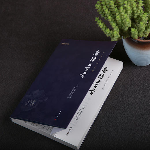 谦德国学文库 唐诗三百首（新版） 商品图2