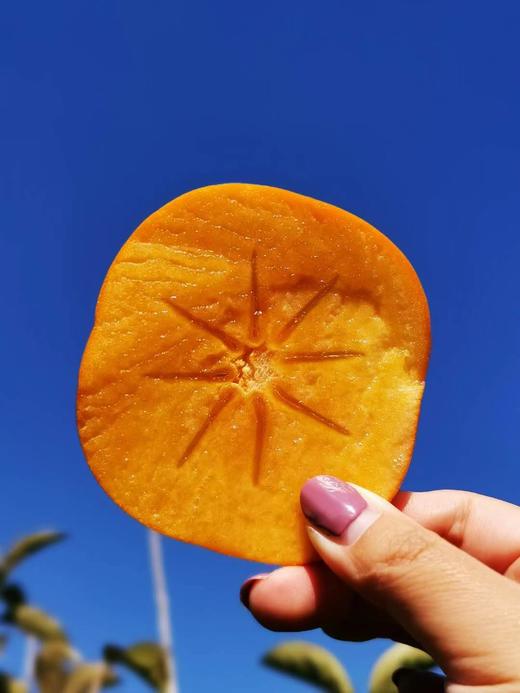 云南·保山次郎脆柿 商品图2