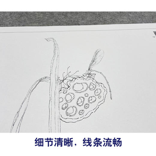 【大彩图】李晓明工笔画白描底稿小品《豆娘残荷》荷花临摹勾线花鸟线稿K079 商品图4